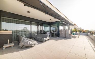 Appartement terrasse 4.5 pièces - image - 5