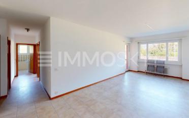 Wohnung 3.5 Zimmer - image - 1