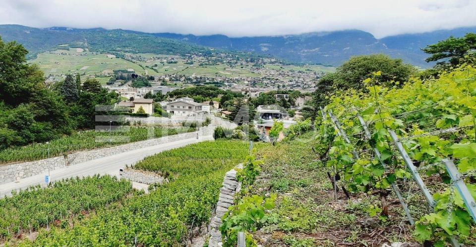 Sierre