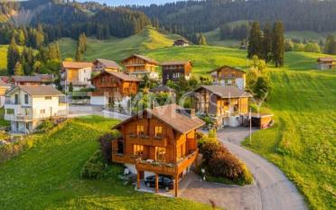 Einfamilienhaus 5.5 Zimmer - image - 1