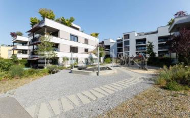 Wohnung 3.5 Zimmer - image - 1