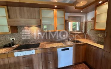 Einfamilienhaus 5.5 Zimmer - image - 2