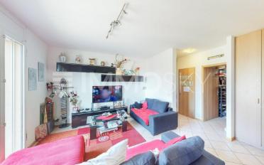 Einfamilienhaus 6.5 Zimmer - image - 2