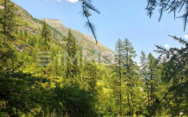 Terrain à bâtir - image - 5