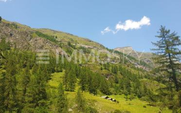 Terrain à bâtir - image - 4