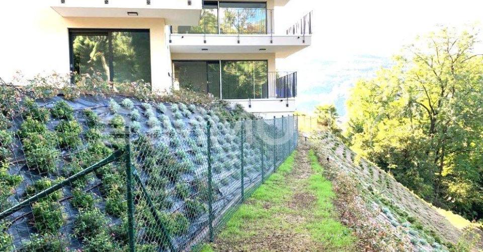 Vacallo