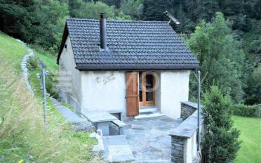 Einfamilienhaus 3 Zimmer - image - 1