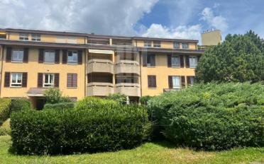 Wohnung 5 Zimmer - image - 10