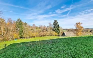 Bifamiliar house 7.5 rooms - image - 1