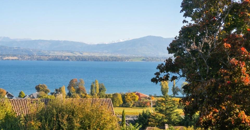 NYON ( à 5 minutes de Nyon) Propriété d'exception avec vue panoramique