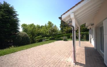 Villa - image - 11