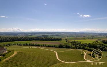 Ferme - image - 4