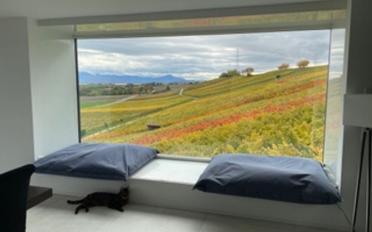 Villa 10 rooms - image - 9