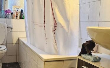 Appartement - image - 10