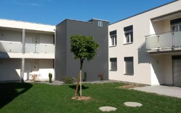 Wohnung 2.5 Zimmer - image - 1