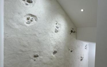 Apartment 5.5 rooms - image - 4