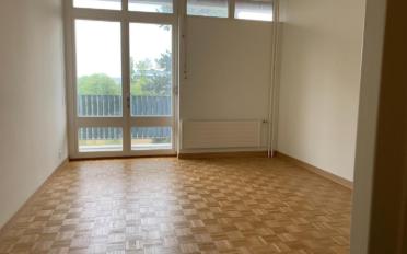 Wohnung 5 Zimmer - image - 3