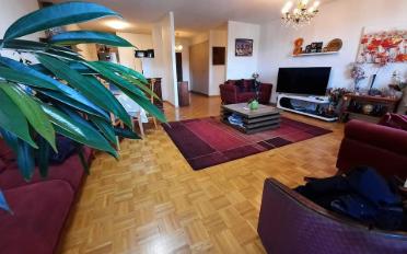 Wohnung 4.5 Zimmer - image - 2