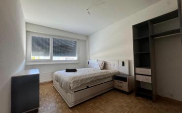 Möbl. Wohnobj. 3.5 Zimmer - image - 1