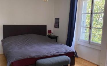 Wohnung 3.5 Zimmer - image - 5
