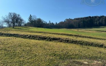 Appartement 4.5 pièces - image - 8