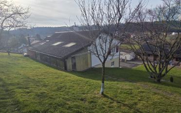 Maison 5.5 pièces - image - 3