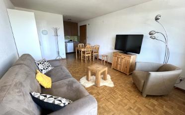Apartment 1 room - image - 3
