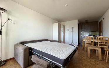 Apartment 1 room - image - 7