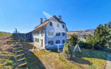 Einfamilienhaus 11.5 Zimmer - image - 2