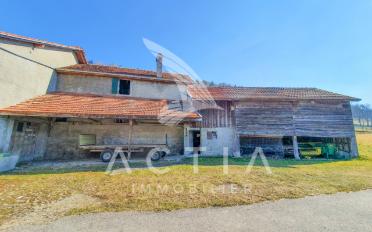 Einfamilienhaus 11.5 Zimmer - image - 9
