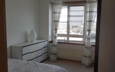 Wohnung 3.5 Zimmer - image - 5