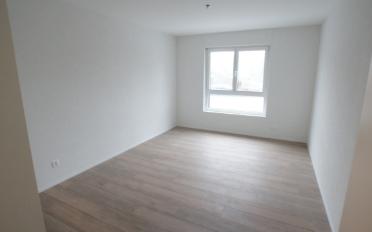 Wohnung 4.5 Zimmer - image - 4