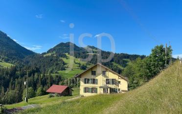 Einfamilienhaus 13 Zimmer - image - 1