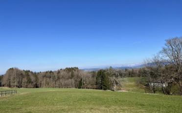 Attic flat 3.5 rooms - image - 2