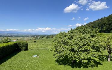 Villa 9.5 pièces - image - 7