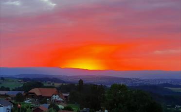 Appartement 3.5 pièces - image - 1