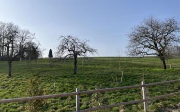 Villa 4.5 Zimmer - image - 1