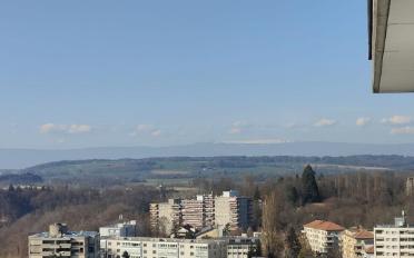 Wohnung 4.5 Zimmer - image - 2