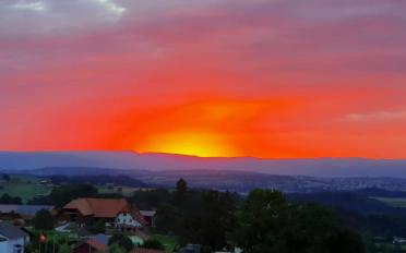 Wohnung 3.5 Zimmer - image - 3