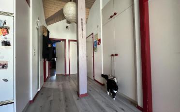 Attikawohnung 3.5 Zimmer - image - 9