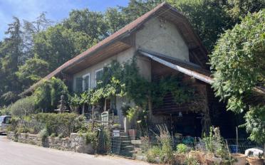 Einfamilienhaus 3.5 Zimmer - image - 2