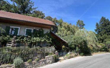 Einfamilienhaus 3.5 Zimmer - image - 9