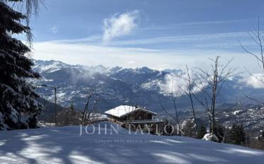 Chalet 5 rooms - image - 2