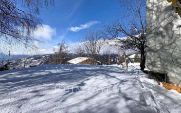 Chalet 5 rooms - image - 4