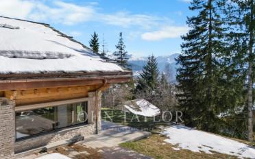 Chalet 10 pièces - image - 2