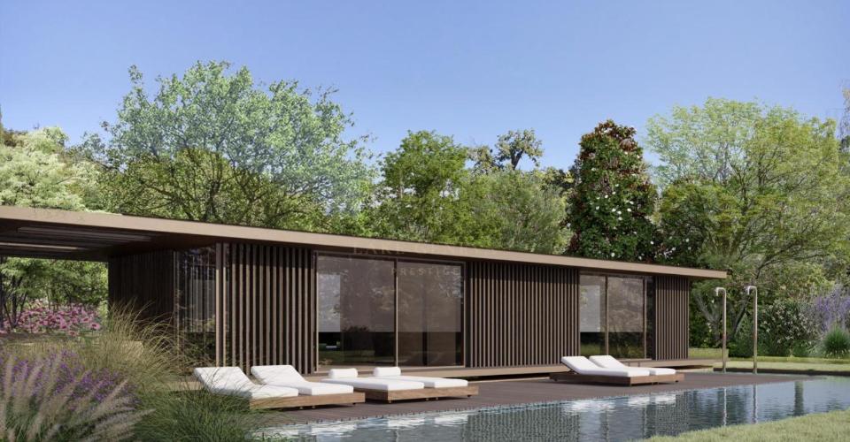 Mies