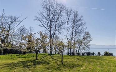 Building land - image - 1