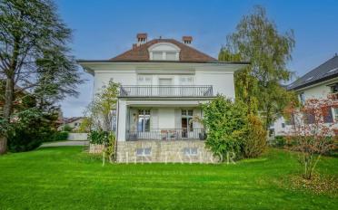 Villa 11 Zimmer - image - 8