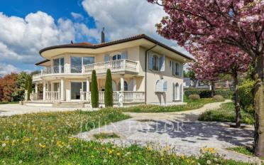 Villa 10 Zimmer - image - 3