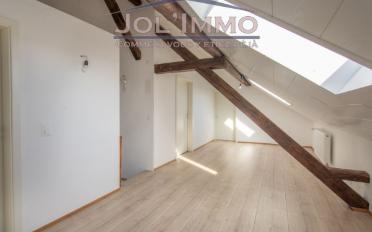Wohnung 6.5 Zimmer - image - 6
